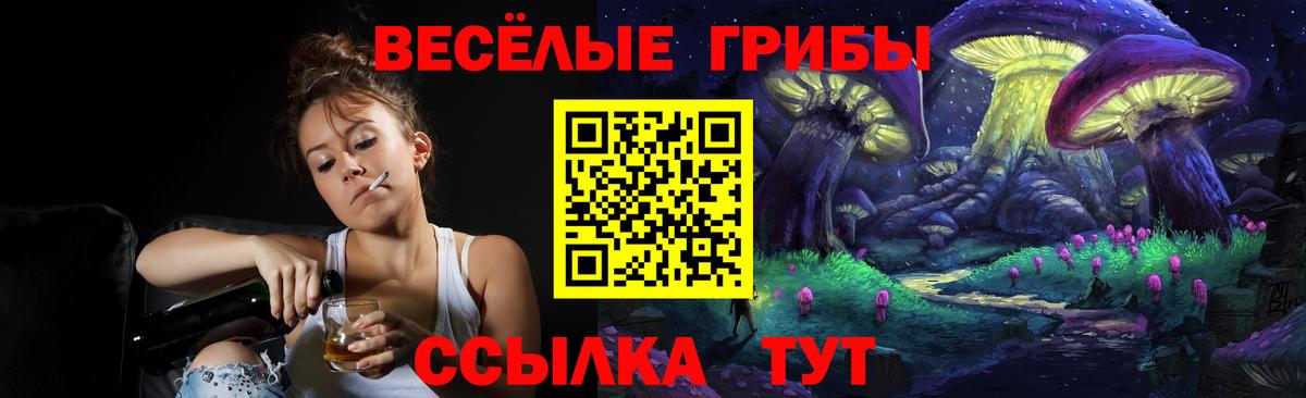 Галлюциногенные грибы прущие грибы  Вход с VPN  Черняховск  Псилоцибиновые грибы Psilocybe 